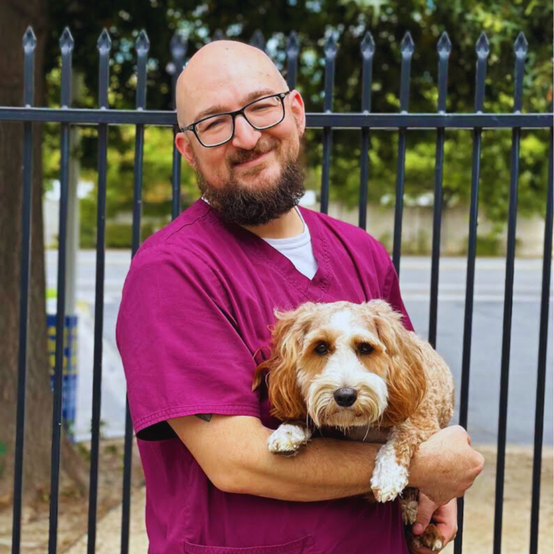 Austin , Veterinary Assistant