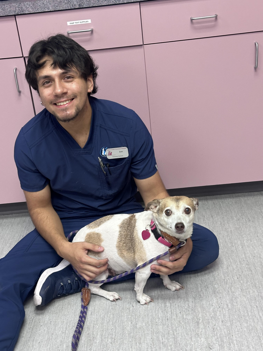 Jose , Veterinary Assisstant